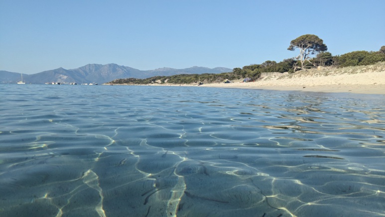 Accès de la piste de Saleccia et du Lotu