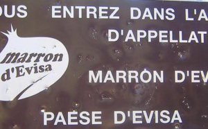 La foire du marron à Evisa